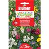 Blumen miscuglio di fiori che attirano le cocinelle