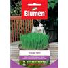 Blumen erba per gatti