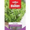 Blumen santoreggia