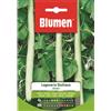 Blumen zucca lagenaria siciliana