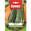 Blumen zucca lunga di napoli