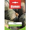 Blumen zucca delica