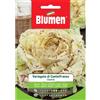 Blumen cicoria variegata di castelfranco