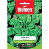 Blumen spinacio merlo nero