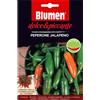 Blumen peperone jalapeno