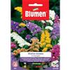 Blumen statice sinuata in miscuglio