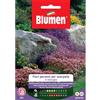 Blumen fiori perenni per scarpate in miscuglio