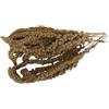Aimé - Miglio in rami e semi per uccelli 250 g - Snack uccelli domestici a base di miglio - Mangime pappagalli e altri volatili 100% naturale - Aiuta a contrastare la noia e l'ansia - Made in France
