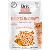 Brit Care Filetti in Salsa Cibo Umido per Gatti - Pollo - 24 x 85 gr