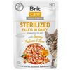 Brit Care Filetti in Salsa Cibo Umido per Gatti - Salmone e Tonno - 24 x 85 gr - STERILIZED