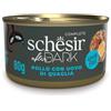 Schesir After Dark Cibo Umido per Gatti - 12x80 gr - IN BRODO - Pollo con Uovo di Quaglia