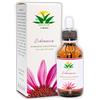 Regiflor Natura Echinacea Angustifolia Regiflor Natura - Tintura madre - 100% Naturale, 100ml con Contagocce - Integratore alimentare a base di Echinacea Angustifolia