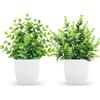ZJIA 2 confezioni di piccole piante finte artificiali vegetazione in vasi per casa, camera da letto, bagno, fattoria, cucina, arredamento interno
