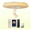 chysongoods 28W 30cm Plafoniera LED Soffitto Alexa Google Home Compatibile Con Altoparlante Bluetooth Musica Lampada Dimmerabile Colore + RGB Per Bagno Cameretta Cucine