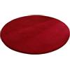 Wambere Tappeto rotondo in velluto corallo, tappeto antiscivolo lavabile per cani, tappeto per camera da letto, tappeto per ingresso, soffione doccia, tappetino, per sala da pranzo, camera da letto, tappetino