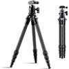 SIRUI 127cm Treppiede Fotocamera Carbonio Fibra AM-225, Portatile Treppiede da Viaggio con Testa a Sfera B-00K e Piastra a Sgancio Rapido, Cavalletto Fotografico per Videocamera, Carico Massimo 6KG