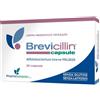 PHARMEXTRACTA SpA BREVICILLIN 20 CAPSULE