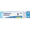 Capsicum ANN BOI Capsicum Annuum*9Ch 80Gr 4G 4 g Granuli
