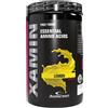 Anderson Research Xamin Essential Amino Acids - 312 gr