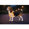 Flamingo Pettorina cane taglia media - pettorina Step&Go Fierro fluo arancione - taglia M - 35-60 cm - nylon regolabile - bande riflettenti - doppio anello anti-trazione