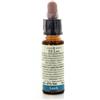 LABORATORIO ERBORISTICO DI LEO Di Leo Fiori di Bach Larch Rimedio Omeopatico 10ml