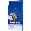 Iams Gatto ProActive Health Multi-Cat Pollo e Salmone 15KG