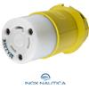 Hubbel PRESA HUBBEL 2P+T PER SPINA 32A 230V CAVO BANCHINA BARCA NAUTICA GOMMONE