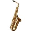 Yanagisawa Sassofono contralto Yanagisawa A-WO2 EB bronzo ottone finitura lacca chiara s...