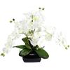 Flair Flower Orchidea artificiale, 40 x 36 x 36 cm, con foglie e radici aeree, in ceramica, fiore artificiale Phalaenopsis con vaso, pianta artificiale, decorazione per matrimoni, fiori di seta, colore bianco