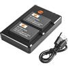 DSTE DE LP-E17 (2 pezzi) Batteria di ricambio ricaricabile e doppio caricatore compatibile con Canon EOS R10 M3 750D 760D 8000D Kiss X8i Rebel T6i T6s R10