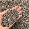 bhomescent Leca Horticultural Grit, ciottoli di argilla, pietra lavica, grado fine 2-4 mm (5L)