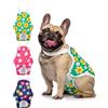 MICOOYO Pannolini cane femmina 3 pezzi, mutandine lavabili con bretelle, pannolini riutilizzabili per cani in calore/incontinenza(fiore,XL)