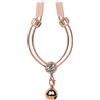 QUEEN'S STORY Divaricatore Labbra per Donna Vagina Dilatatore con Ornamenti e Campanelli, Dilatatore Punto G Speculum Dilatatore Giocattolo del Sesso Divaricatore, Set di Speculum Vaginali SM