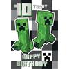 Danilo Promotions Ltd Minecraft - Biglietto pop-up per compleanno, 10 anni
