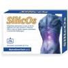 NUTRAGENETECH SRL Nutragenetech Silicos Integratore Sali Minerali E Vitamine 30 Bustine Salute Della Pelle Ed Anti-Inv