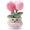 TOYMIS Tulipano Positivo, Graziosa Bambola Tulipano Positivo Fiore Peluche Rosa Lavorato Maglia Fatto Mano con Biglietto Incoraggiamento Graziosa Decorazione da Scrivania per Adulti Bambini Amici