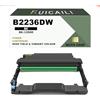 RUICAILI B2236DW - Unità tamburo di imaging compatibile per stampanti Lexmark B2236dw MB2236 MB2236adw, confezione da 1, colore nero, stampa 12.000 pagine