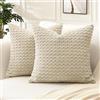 Artscope 2 Pezzi Federe Cuscini in Velluto a Coste per Divano 45x45cm Copricuscini di Bolla Geometrico Decorativa per Salotto Moderno Cuscino per Camera da Letto, Beige