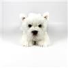 DQB DeQUBE Fondazione BOCALAN - Peluche Terrier bianco sdraiato 25 cm - + 0 mesi (DeQube 939D00291)