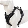 WINHYEPET Pettorina per Cani True Love, Pettorina per Animali Riflettente No Pull con 2 Clip per Guinzaglio Gilet per Cani Imbottito Morbido Regolabile, per Cani di Piccola Taglia Media TLH5651