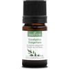 La Compagnie des Sens EUCALYPTUS STAIGERIANA BIO - 5mL - Olio Essenziale di Qualità Premium - 100% Puro, Naturale, garantito ChromaCert® - Chemotipizzato & Integrale