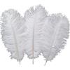 Sowder Piume di struzzo Sowder, 10 pezzi, 30-35 cm, decorazioni di nozze o per la casa White