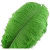 Sowder Piume di struzzo Sowder, 10 pezzi, 30-35 cm, decorazioni di nozze o per la casa lime green