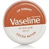 Vaseline Lip Therapy - Confezione da 6 burro di cacao, 20 g