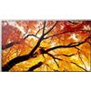 Sharp Monitor digital signage led 50" Sharp MultiSync M502 4K Ultra HD 3840x2160p/8ms/classe G/Nero [ULSHA050LM50200]