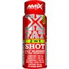 AMIX X Fat 2 in 1 Shot Fat Burner e Pre Workout 60ml Frutta