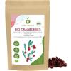 IDDA Herbal Mirtilli Rossi Secchi BIO 250g, Mirtilli Rossi Bio, Dolcificati con Succo di Frutta