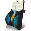 AOOHA Cuscino Lombare Ergonomico,Lombare Sedia Ufficio con Rivestimento Removibile e Lavabile,Cinghie Regolabili,Supporto Lombari in Schiuma Memory ad Alta Densità per Auto Ufficio Divano