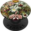 Exotic Floral Vintage Botanical Illustra orchidea, fiore, vendemmia, botanico, illustrazione PopSockets PopGrip Intercambiabile