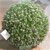 Telcom Lavanda artificiale Sfera cm 40